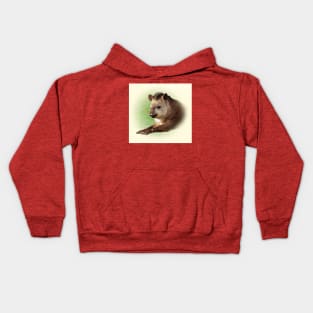 Tapir Kids Hoodie